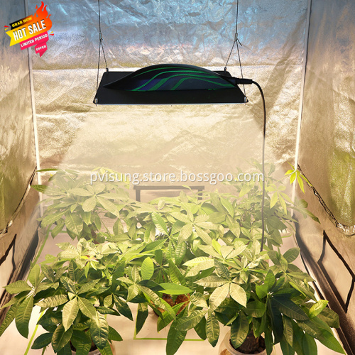 Grow Lights For Indoor Plants